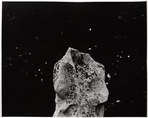 Image description is not available for 2024.079